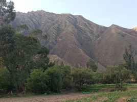  Terreno (Parcela) en venta en Huayllabamba, Urubamba, Huayllabamba