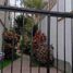  House for sale in University of Piura (Lima campus), Miraflores, Surquillo