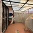 4 Bedroom Villa for sale in Tarimbaro, Michoacan, Tarimbaro, Michoacan
