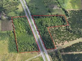  Terreno (Parcela) en venta en Montemorelos, Nuevo León, Montemorelos, Nuevo León