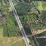  Terreno (Parcela) en venta en Montemorelos, Nuevo León, Montemorelos, Nuevo León