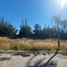 Terrain à vendre à Atlixco, Puebla, Atlixco, Puebla