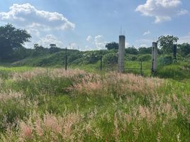  Terrain for sale in Jalisco, Tonala, Jalisco