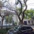 3 Schlafzimmer Villa zu verkaufen in Miguel Hidalgo, Mexico City, Miguel Hidalgo