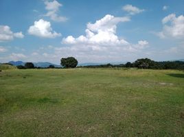  Land for sale in Chapa De Mota, Mexico, Chapa De Mota