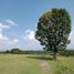  Land for sale in Chapa De Mota, Mexico, Chapa De Mota