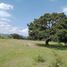  Land for sale in Chapa De Mota, Mexico, Chapa De Mota