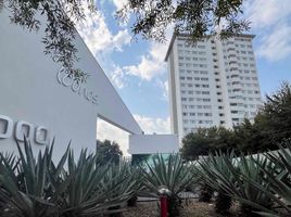 2 Schlafzimmer Appartement zu vermieten in Monterrey, Nuevo Leon, Monterrey, Nuevo Leon