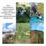 2 Bedroom House for sale in Calima, Valle Del Cauca, Calima
