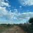  Land for sale in Guadalupe, Zacatecas, Guadalupe, Zacatecas