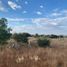  Land for sale in Guadalupe, Zacatecas, Guadalupe, Zacatecas