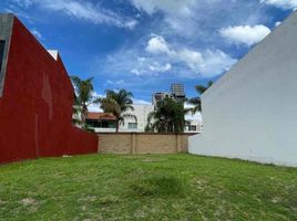  Terreno (Parcela) en venta en Ocoyucan, Puebla, Ocoyucan