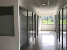 36 m² Office for rent in Cozumel, Quintana Roo, Cozumel