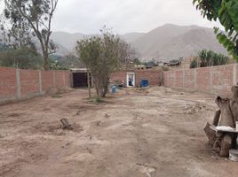  Terreno (Parcela) en venta en Lurigancho, Lima, Lurigancho