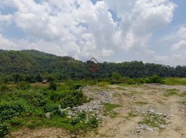  Land for sale in San Jose, Tarlac, San Jose