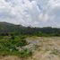  Land for sale in San Jose, Central Luzon, San Jose