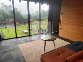 2 Schlafzimmer Wohnung zu vermieten in Valle De Bravo, Mexico, Valle De Bravo