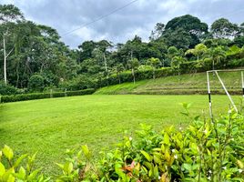  Terrain for sale in Pedro Vicente Maldonado, Pichincha, Pedro Vicente Maldonado, Pedro Vicente Maldonado