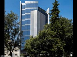 369 m² Office for rent in Miguel Hidalgo, Ciudad de México, Miguel Hidalgo