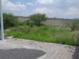 Terrain à vendre à Queretaro, Queretaro, Queretaro, Queretaro