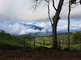  Terreno (Parcela) en venta en Calima, Valle Del Cauca, Calima