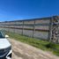  Terreno (Parcela) en alquiler en Puebla, Cuautlancingo, Puebla