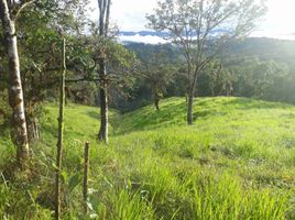  Villa en venta en San Miguel de los Bancos, Pichincha, San Miguel De Los Bancos, San Miguel de los Bancos