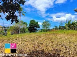 Terrain à vendre à Cebu City, Central Visayas, Cebu City, Cebu, Central Visayas, Philippines