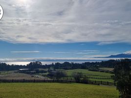  Terreno (Parcela) en venta en Puerto Varas, Llanquihue, Puerto Varas