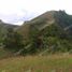  Land for sale in San Carlos City, Negros Occidental, San Carlos City