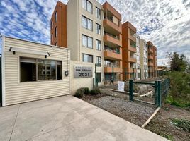 3 Habitación Apartamento en alquiler en Los Andes, Valparaíso, Calle Larga, Los Andes