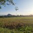  Terreno (Parcela) en venta en Sidoarjo, East Jawa, Sidoarjo, Sidoarjo, East Jawa
