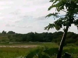  Land for sale in Bulacan, Central Luzon, San Rafael, Bulacan