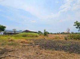  Land for sale in Pasuruan, East Jawa, Rembang, Pasuruan