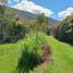  Grundstück zu verkaufen in Villa De Leyva, Boyaca, Villa De Leyva