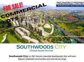  Grundstück zu verkaufen in Binan City, Calabarzon, Binan City, Laguna