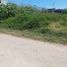  Land for sale in Tarimbaro, Michoacan, Tarimbaro