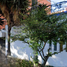 5 Schlafzimmer Villa zu verkaufen in Miguel Hidalgo, Mexico City, Miguel Hidalgo