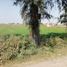  Land for sale in Chiconcuac, Mexico, Chiconcuac