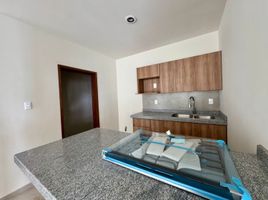 Appartement 2 chambre à vendre à San Luis Potosi, San Luis Potosi, San Luis Potosi, San Luis Potosi
