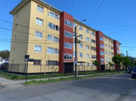 2 Schlafzimmer Appartement zu verkaufen in Cautin, Araucania, Temuco