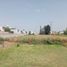  Land for sale in Chiconcuac, Mexico, Chiconcuac