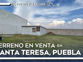 Terreno (Parcela) en venta en San Jeronimo Tecuanipan, Puebla, San Jeronimo Tecuanipan, Puebla