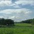  Terreno (Parcela) en venta en General Trias City, Calabarzon, General Trias City, Cavite, Calabarzon