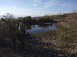  Land for sale in Purisima Del Rincon, Guanajuato, Purisima Del Rincon