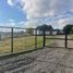  Terreno (Parcela) en venta en Ñuble, Chillan, Diguillín, Ñuble