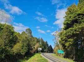  Terreno (Parcela) en venta en Chile, Puerto Octay, Osorno, Los Lagos, Chile