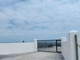  토지을(를) 코 퀴보에서 판매합니다., Coquimbo, 엘키, 코 퀴보