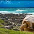  Land for sale in Bellavista, Galapagos, Bellavista, Santa Cruz