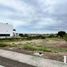  Land for sale in Montecristi, Manabi, Montecristi, Montecristi